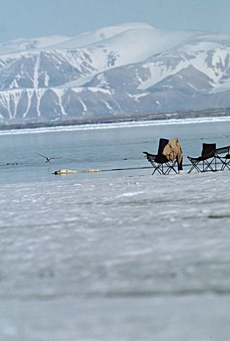 Arctic scenics. Nunavut to Norway.