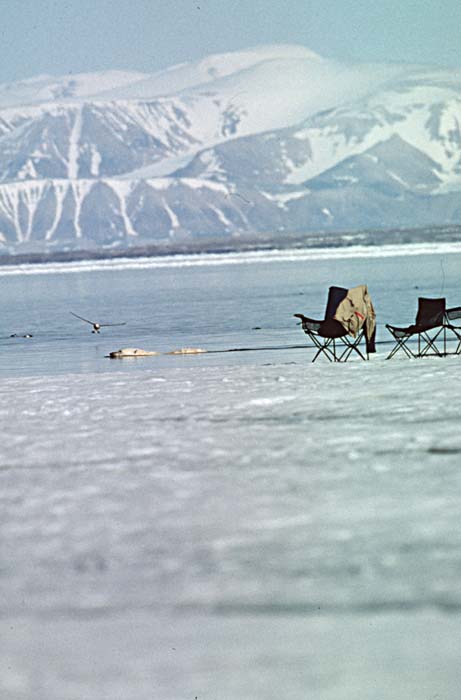 Arctic scenics. Nunavut to Norway.