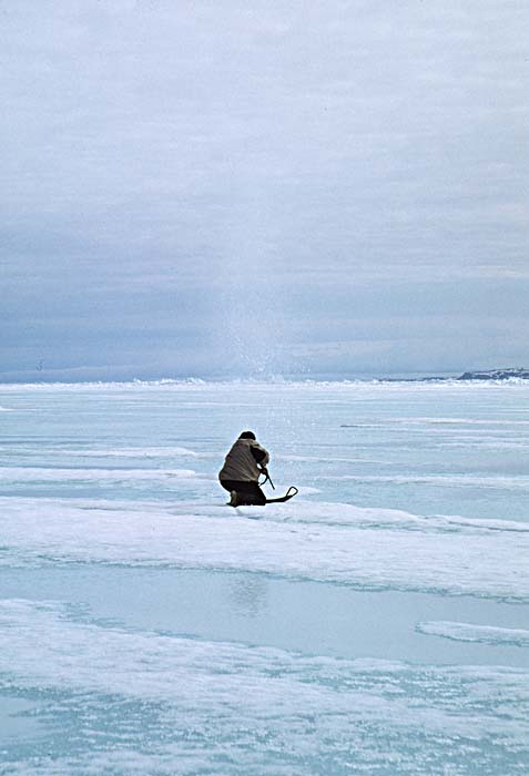 Arctic scenics. Nunavut to Norway.