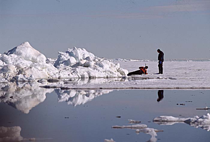 Arctic scenics. Nunavut to Norway.