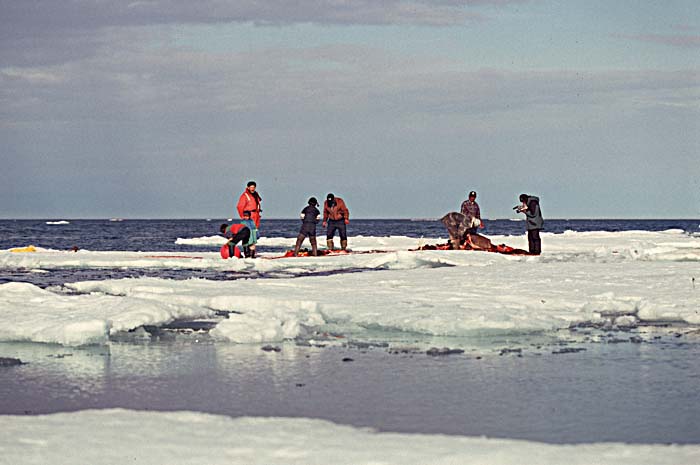 Arctic scenics. Nunavut to Norway.