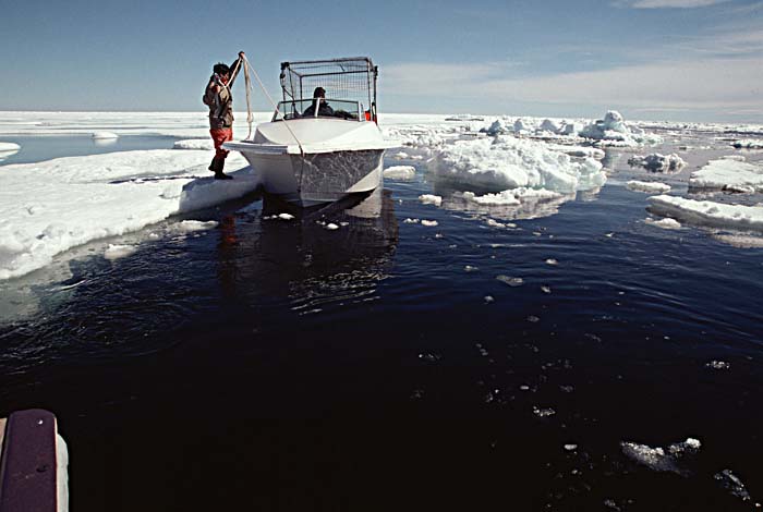 Arctic scenics. Nunavut to Norway.