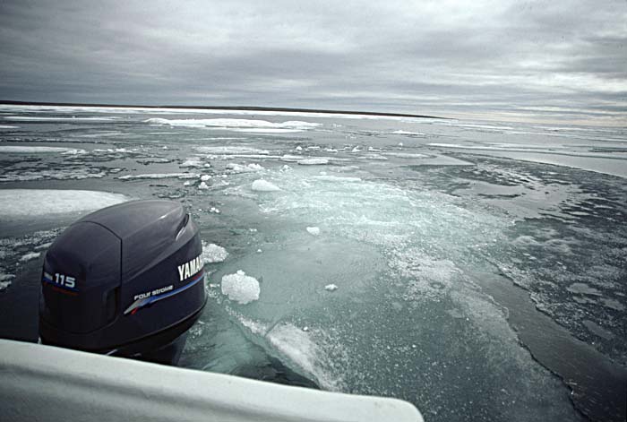 Arctic scenics. Nunavut to Norway.