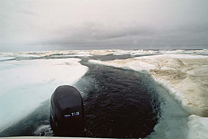 Arctic scenics. Nunavut to Norway.