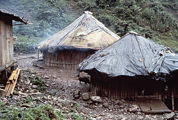 Travel in Papua New Guinea.