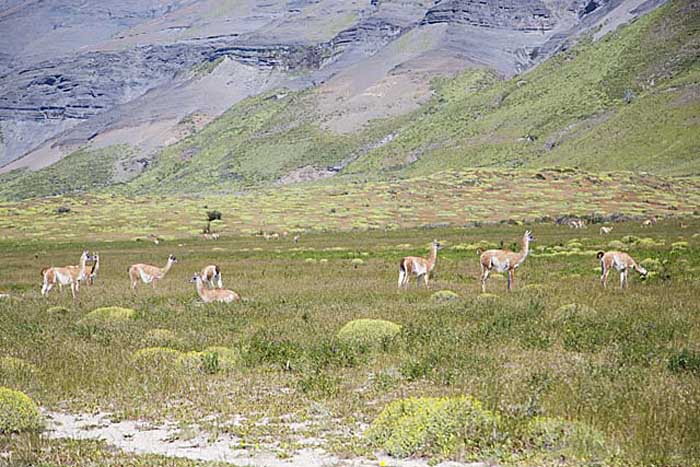 Travel in South America